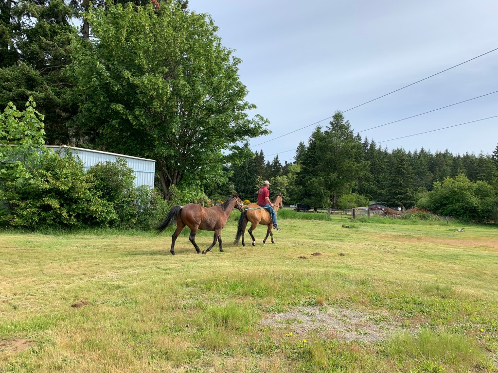 Rider ponying second horse behind