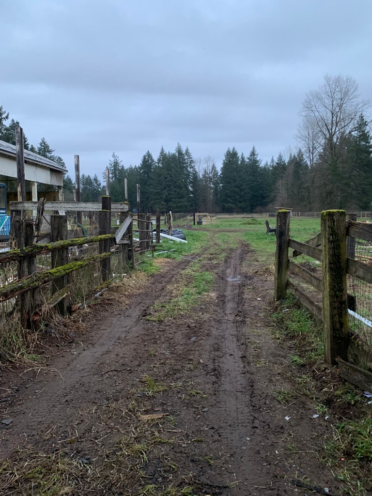 picture looking out back onto pasture