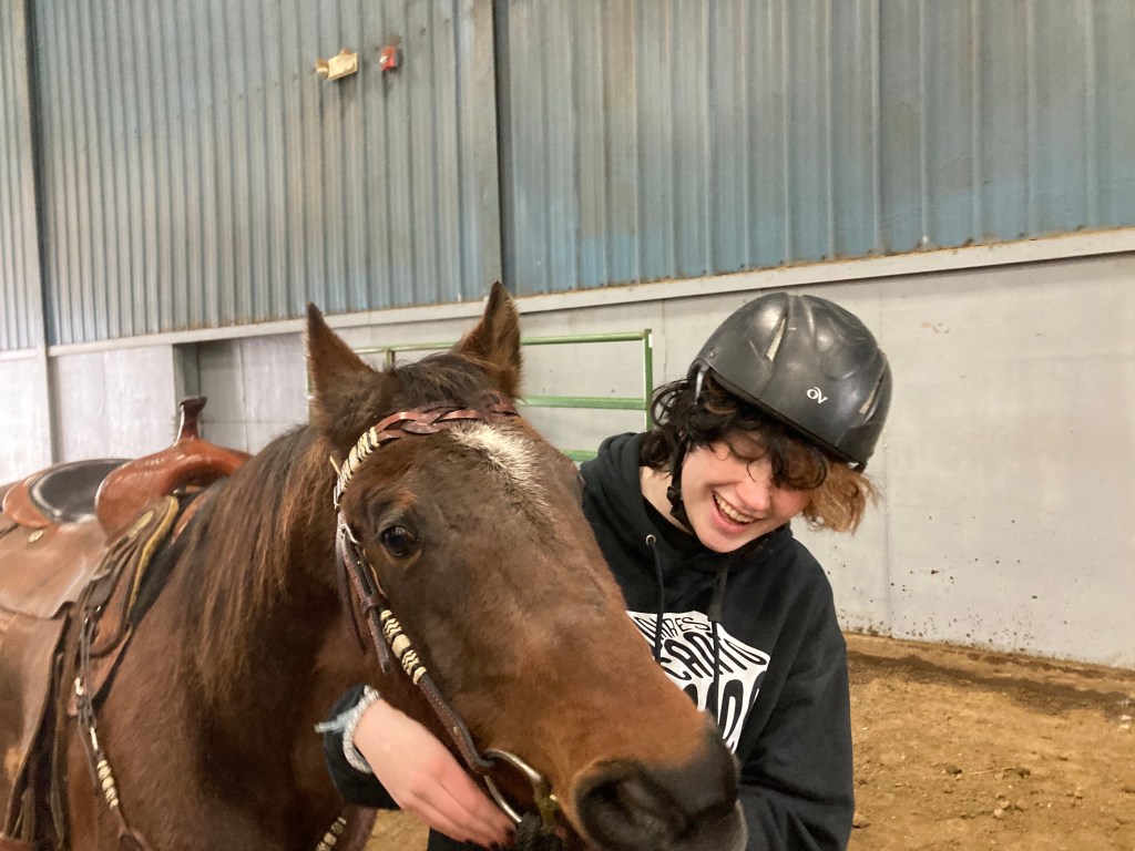 Horse and rider picture